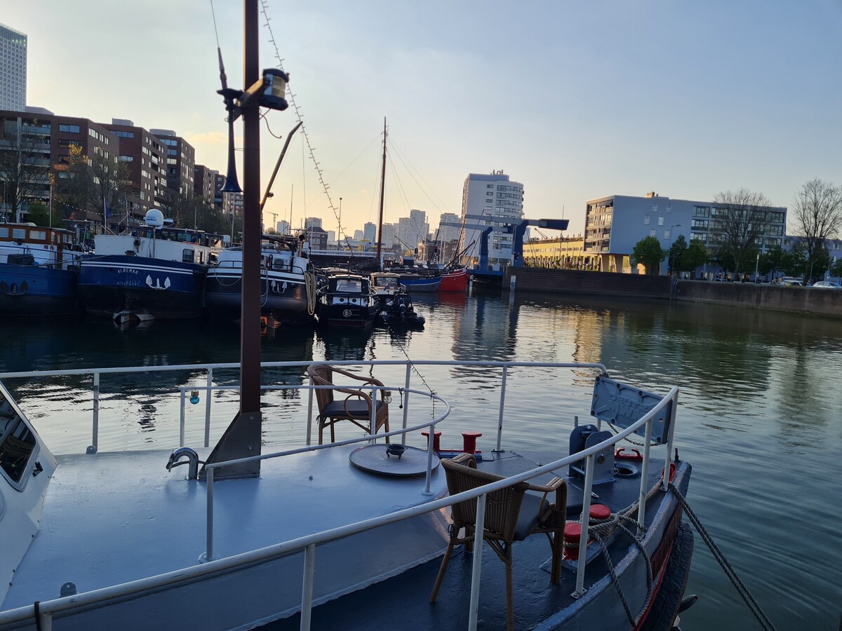 Boat De Pluvier thumbnail 7