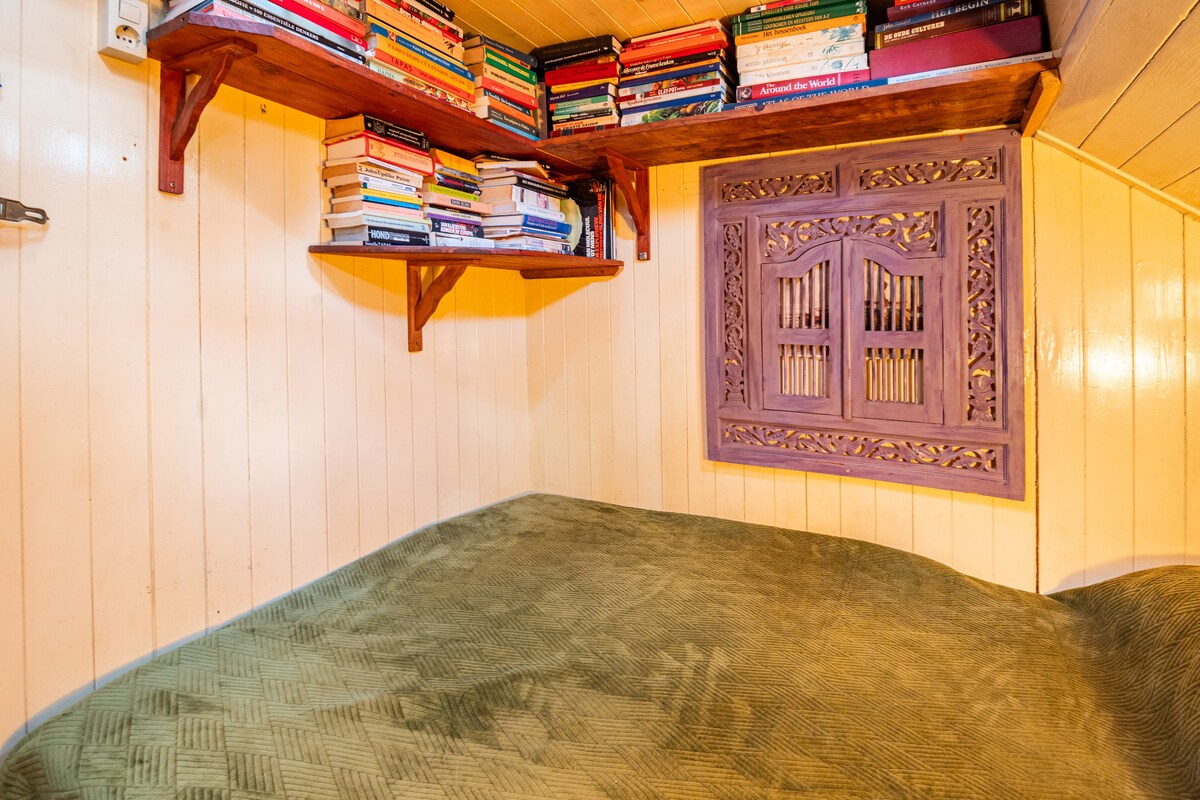 Boat Nautilus thumbnail 5