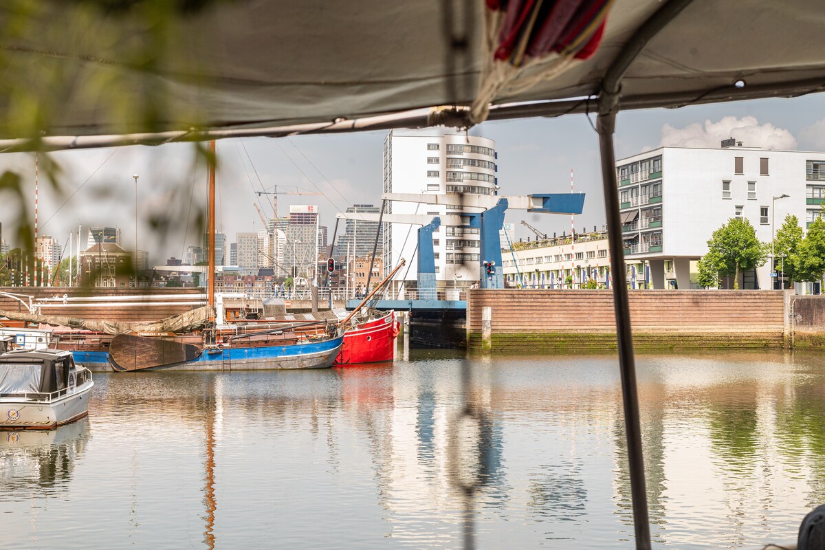 Boat Nautilus thumbnail 6